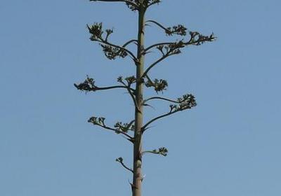 诗人的名言名句(汇总20句) 诗人的名言名句(汇总20句)