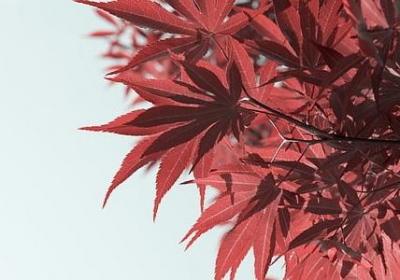 责任心的名言(共70句) 责任心的名言(共70句)