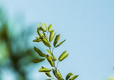 跳舞经典语录(优选47句)