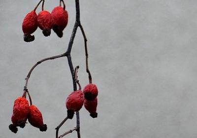 韩寒青春语录(40句)