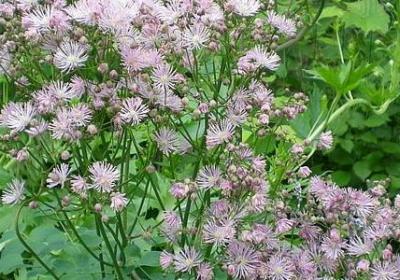 找到方向的句子(必备50句)