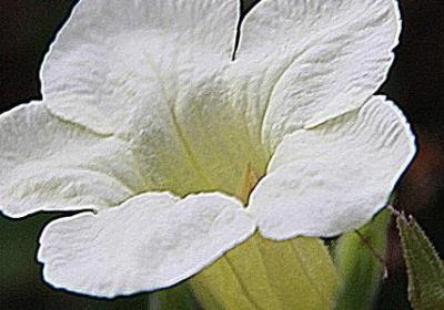 汗蒸发朋友圈的句子(合集40句)