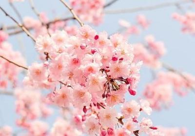 毕业唯美的句子(热门12句)