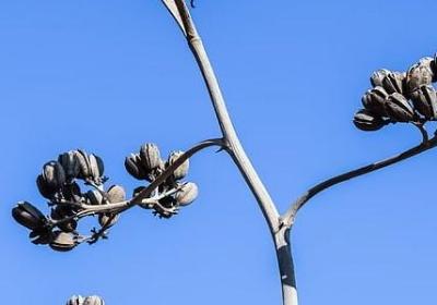 毕业怀念的句子(精选50句)