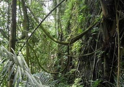 海浪拍打沙滩的句子(通用50句)