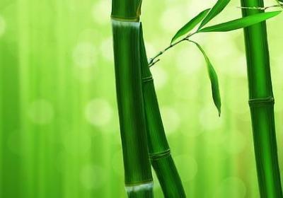 植物生长的句子(汇总50句)