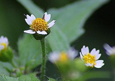 画风突变的搞笑句子(通用20句)