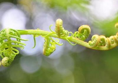 朱茵过后再无紫霞句子(推荐10句)