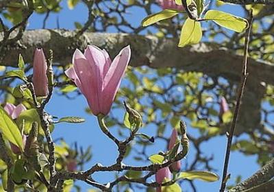 泰国旅游心得的句子(合集8句)