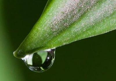 该成熟了致自己的句子(15句)