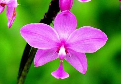 蒸蒸日上的句子(合集20句)