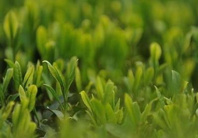 520隐秘表白句子大全(合集60句)