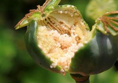 质量与价格的句子(汇总30句)