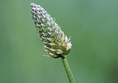 3至6年级英语句子(共140句)