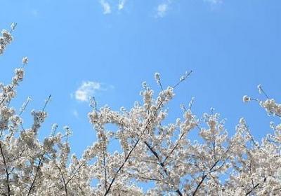 稻城的文艺句子(共50句)