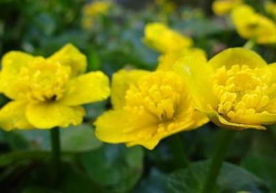 老板偏心我委屈的句子(精选20句)