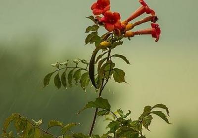 92加满的句子(通用50句)