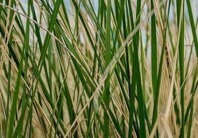 质量好的句子(汇总10句)