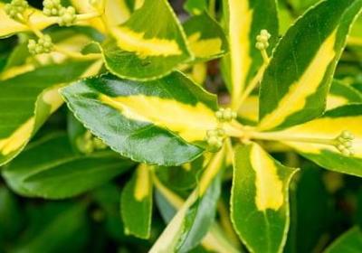 至老公辛苦了的句子(精选8句)