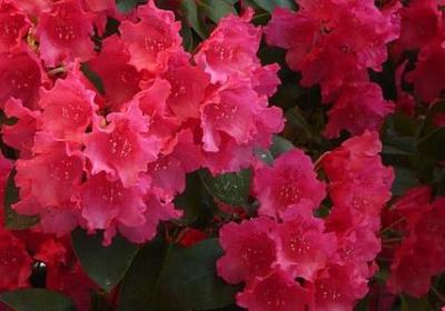 b保证安全的句子(热门80句)