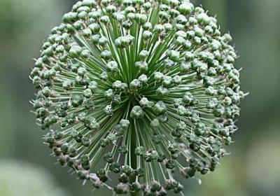 2018找到对象的句子(合集60句)