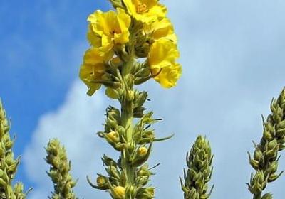 被环境改变的人的句子(合集40句)