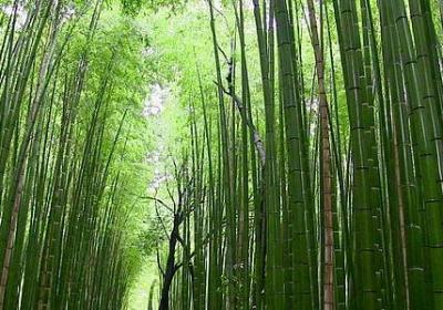 《判官》经典语录句子(精选80句)