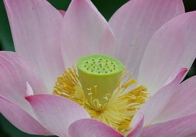 《短心情》的句子(推荐70句)