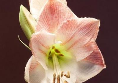 隐约表达爱意的句子(汇总50句)