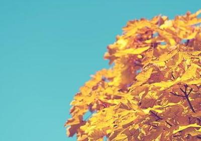 酒量好的句子(共50句)