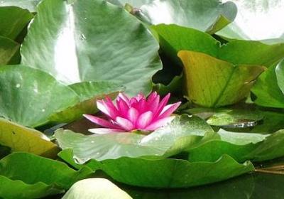 《倒计时》的句子(合集50句)