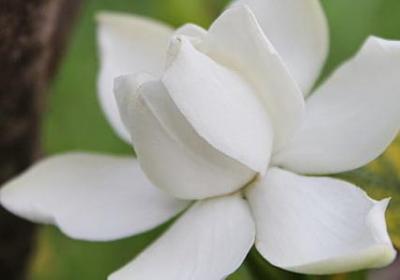 超短句子大全10字(通用50句)