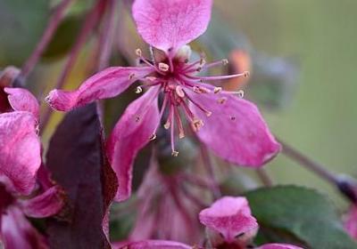 高温坚持工作的句子(必备20句)