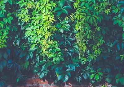 销售员正能量的句子(50句)