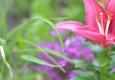 三更写句子(合集40句)