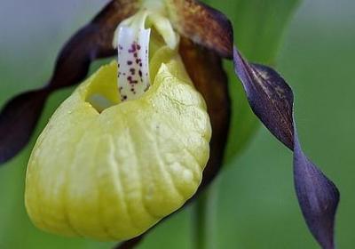 《童年》的细节描写句子(15句)