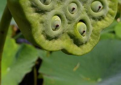 七夕单身狗的句子(30句)