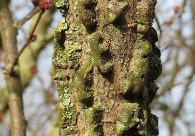 七武士英语经典句子(实用60句)