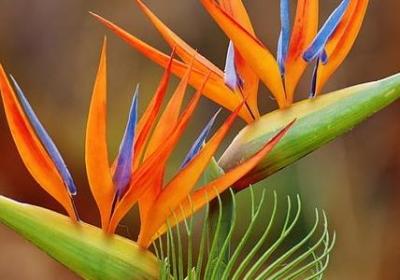 不理别人的句子(推荐79句)