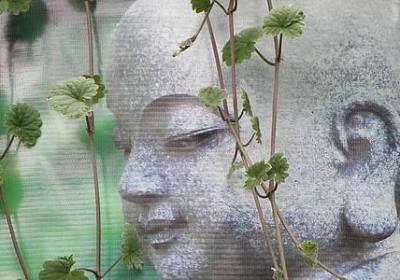 上林赋必背句子(通用51句)