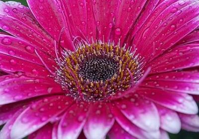 不变的情缘的句子(共40句)