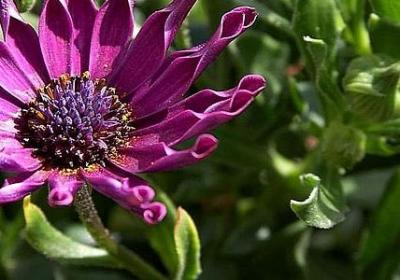 不温不火的句子(推荐50句)