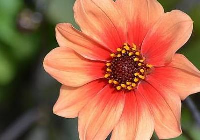 不独立的句子英语(精选80句)