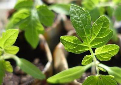 不打扰你的句子(精选40句)