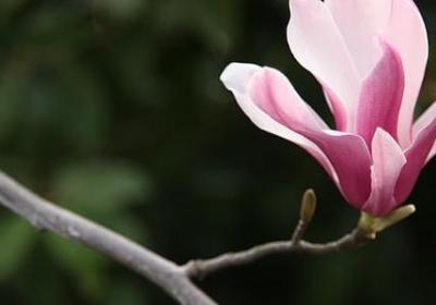 不断完善自己的句子(汇总50句)