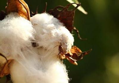 不确定未来 句子(通用30句)