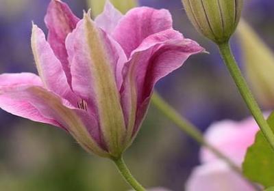 不理世事的生活句子(热门80句)