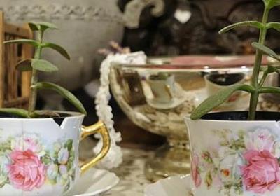 不找侠侣的句子(通用40句)