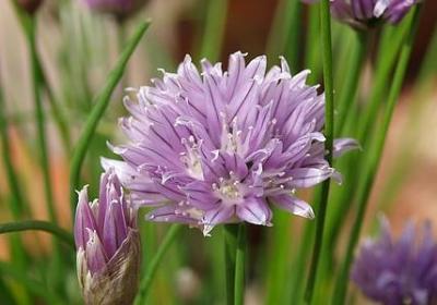 不育的句子(精选50句)