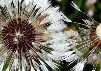 不把皮的句子(通用69句)